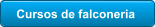 Cursos de falconeria