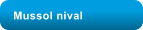 Mussol nival