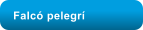Falc pelegr