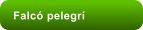 Falc pelegr