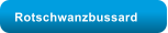 Rotschwanzbussard