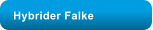 Hybrider Falke