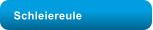 Schleiereule