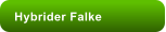 Hybrider Falke