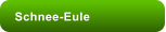 Schnee-Eule