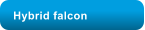 Hybrid falcon