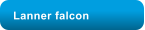 Lanner falcon