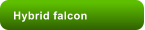 Hybrid falcon