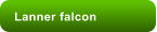 Lanner falcon
