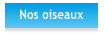 Nos oiseaux
