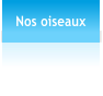 Nos oiseaux