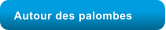 Autour des palombes