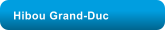 Hibou Grand-Duc