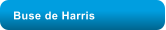 Buse de Harris