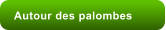 Autour des palombes