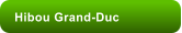 Hibou Grand-Duc