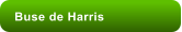 Buse de Harris